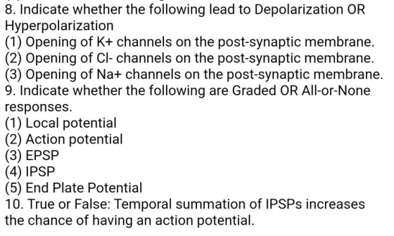 8. Indicate whether the following lead to Depolarization OR Hyperpolarization (1) Opening of K+ channels on the post-synaptic