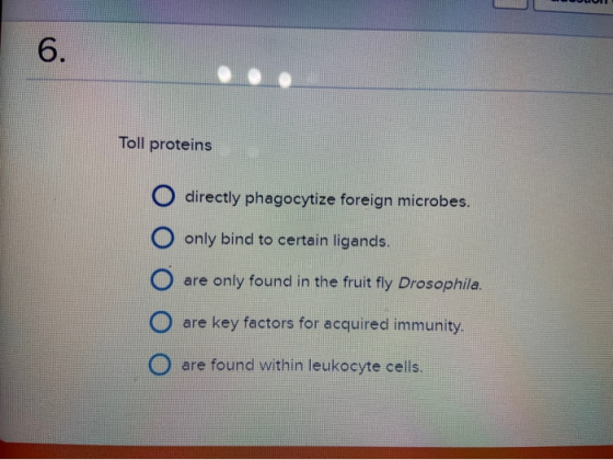 Toll proteins directly phagocytize foreign microbes. O only bind to certain ligands. O are only found in the fruit fly Drosop