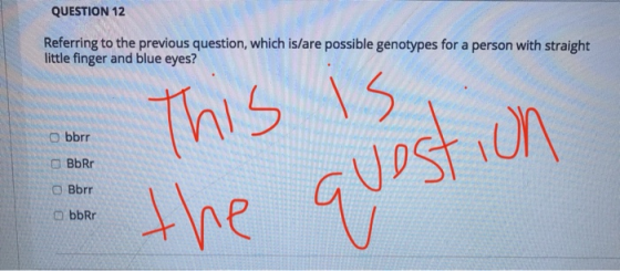 QUESTION 12 Referring to the previous question, which is/are possible genotypes for a person with straight little finger and