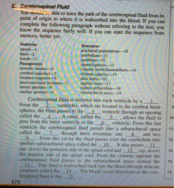 E. Cerebrospinal Fluid You should be able to trace the path of the cerebrospinal fluid from its point of origin to where it i