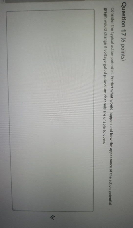 Question 17 (6 points) Consider the typical action potential. Predict what would happen and how the appearance of the action
