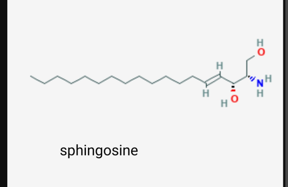 NH H H Н sphingosine