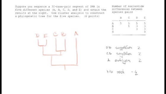 Number of nucleotide Suppose you sequence a 30 base-pair segment of DNA in five different species A, B, C, D, and E and obtain the differences between results at the right Use cluster analysis to construct species pairs a phylogenetic tree for the five species 6 points) D togs TOO