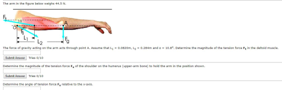 The arm in the figure below weighs 44.5 N Ta L2 10.80. Determine the magnitude of the tension force F, in the deltoid muscle.
