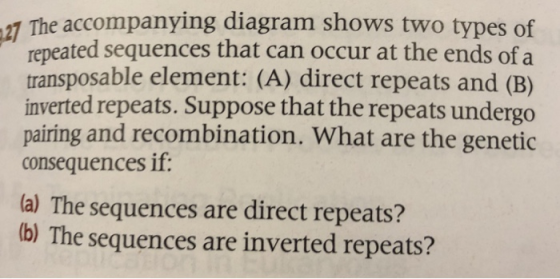 27 The accompanying diagram shows two types of repeated sequences that can occur at the ends of a transposable element: (A) d
