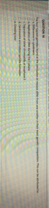 QUESTION 16 The four haploid gametes found at the conclusion of meiosis differ from one another in their exact genetic compos