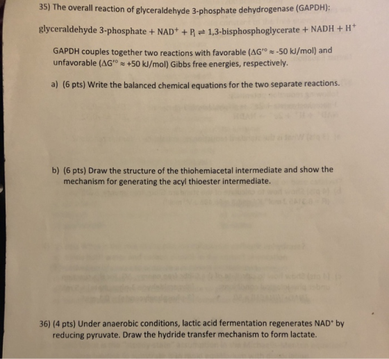 35) The overall reaction of glyceraldehyde 3-phosphate dehydrogenase (GAP glyceraldehyde 3-phosphate + NAD+ + P = 1,3-bisphos