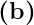 (b)