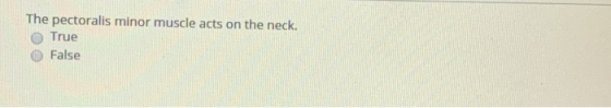 The pectoralis minor muscle acts on the neck. O True O False