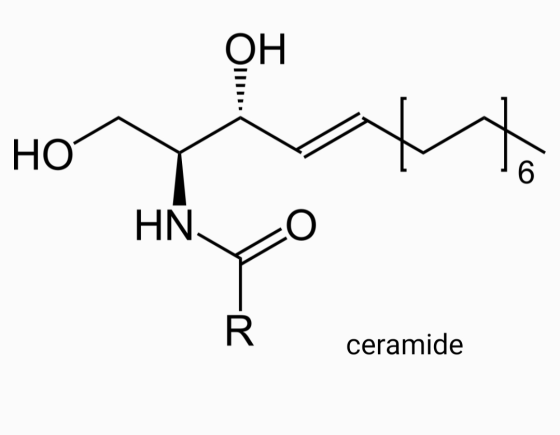 ОН НО HN ceramide