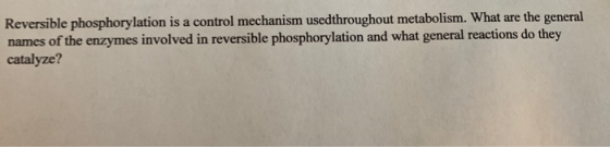 Reversible phosphorylation is a control mechanism used throughout metabolism. What are the general names of the enzymes invol
