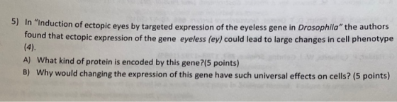in Induction of ectopic eyes by targeted expression of the eyeless gene in Drosophila the authors found that ectopic express
