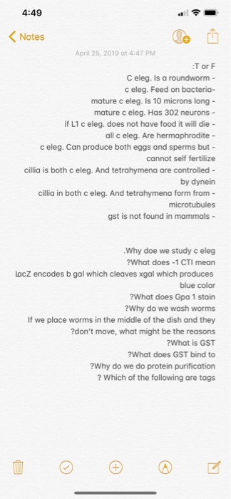4:49 Notes April 25, 2019 at 4:47 PM T or F C eleg. Is a roundworm- c eleg. Feed on bacteria- mature c eleg. Is 10 microns lo