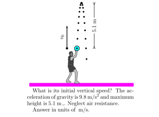 — 5.1 m 00 K What is its initial vertical speed? The ac- celeration of gravity is 9.8 m/s2 and maximum height is 5.1 m,. Negl