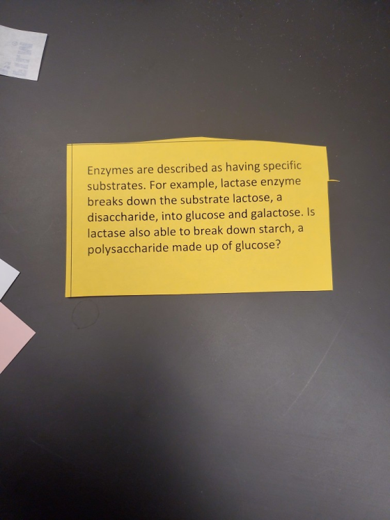 Enzymes are described as having specific substrates. For example, lactase enzyme breaks down the substrate lactose, a disacch