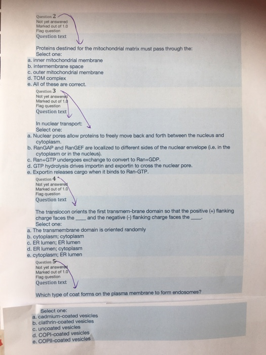 Question 2 Not yet answered Marked out of 1,0 Flag question Question text Proteins destined for the mitochondrial matrix must