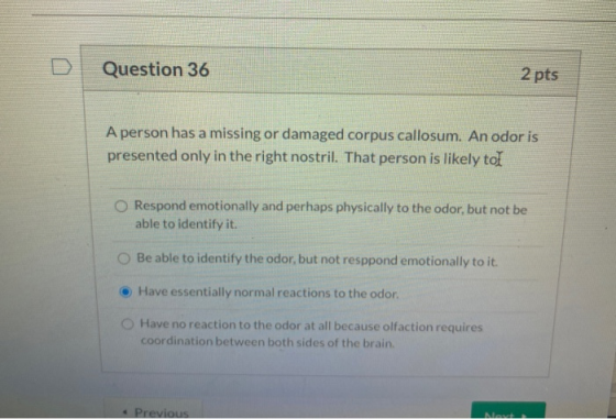 Question 36 2 pts A person has a missing or damaged corpus callosum. An odor is presented only in the right nostril. That per