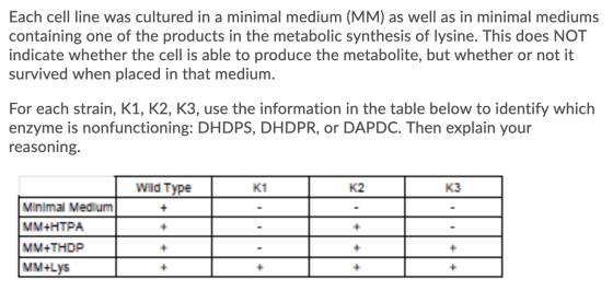 Each cell line was cultured in a minimal medium (MM) as well as in minimal mediums containing one of the products in the meta