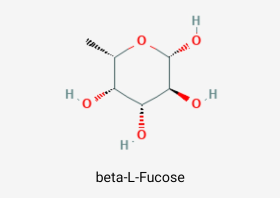 Н O н. Н beta-L-Fucose