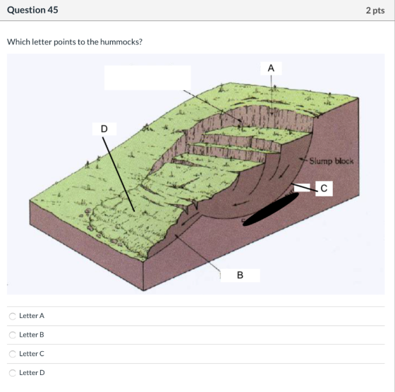 Question 45 2 pts Which letter points to the hummocks? Slump block Letter A C Letter B Letter C Letter D