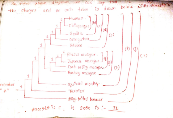 diaeCan s0 from above the Changes and onec chtweg İgdsaun be low/eoth -Ancegjan (d Gooil la Gtbbon Ck) Japanese macagurJqkg)