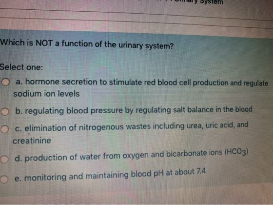 maly system Which is NOT a function of the urinary system? Select one: O a. hormone secretion to stimulate red blood cell pro