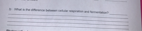 3) What is the difference between cellular respiration and fermentation?
