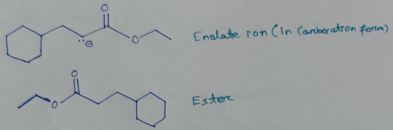 . Enalate ron (in Carbocation form) Ester