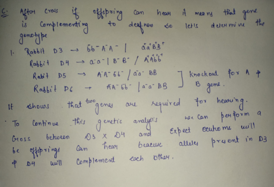 c. After cross it offspring can hear it means that gene. is complementing to deafnes so lets determine the genotype 1. Rabbi