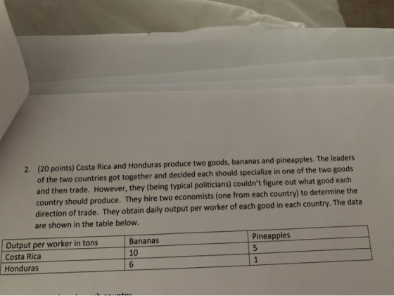 2. (20 points) Costa Rica and Honduras produce two goods, bananas and pineapples. The leaders of the two countries got togeth