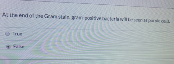 At the end of the Gram stain, gram-positive bacteria will be seen as purple cells. True False