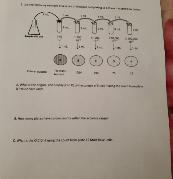 1. Use the following example of a series of dilutions and plating to answer the problems below. 1 ml 1 ml 1 ml 1 mL 1 mL 9 mL