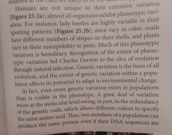 Humans are not unique in their extensive variation (Figure 25.2a); almost all organisms exhibit phenotypic vari- ation. For instance, lady beetles are highly variable in their spotting patterns (Figure 25.2b), mice vary in color, snails have different numbers of stripes on their shells, and plants vary in their susceptibility to pests. Much of this phenotypic variation is hereditary. Recognition of the extent of pheno- typic variation led Charles Darwin to the idea of evolution through natural selection. Genetic variation is the basis of all evolution, and the extent of genetic variation within a popu- lation affects its potential to adapt to environmental change. In fact, even more genetic variation exists in populations than is visible in the phenotype. A great deal of variation exists at the molecular level owing, in part, to the redundanc of the genetic code, which allows different codons to specify ino acid. Thus, two members of a population can produce the same protein even if their D