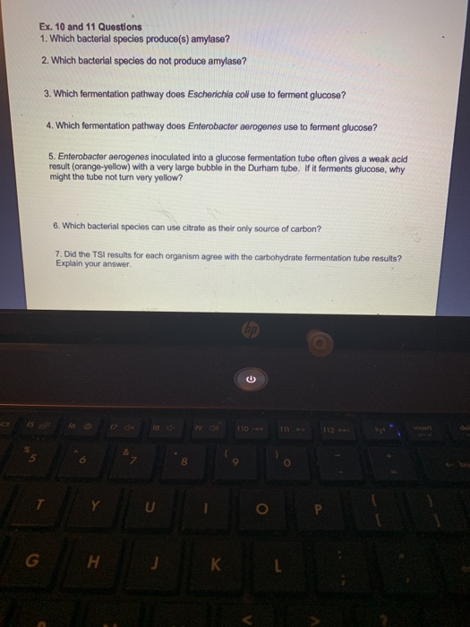 Ex. 10 and 11 Questions 1. Which bacterial species produce(s) amylase? 2. Which bacterial species do not produce amylase? 3.