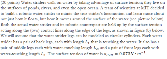 20 points) Water striders walk on water by taking advantage of surface tension; they live on the surfaces of ponds, vers, and even the open ocean. A team of scientists at MIT decided to build a robotic water strider to mimic the true striders locomotion and lean more about not just how it floats, but how it moves around the surface of the water (see picture below) Both the actual water strider and its robotic counterpart are held up by the surface tension acting along the (two) contact lines along the edge of the legs, as shown in figure (b) below. We will assume that the water strider legs can be modeled as circular cylinders. Each water strider has a pair of back legs, each with length L1 that is touching the water. It also has a pair of middle legs each with water-touching length L2, and a pair of front legs each with water-touching length 13-The surface tension of water is ơH20-0073N-m-1
