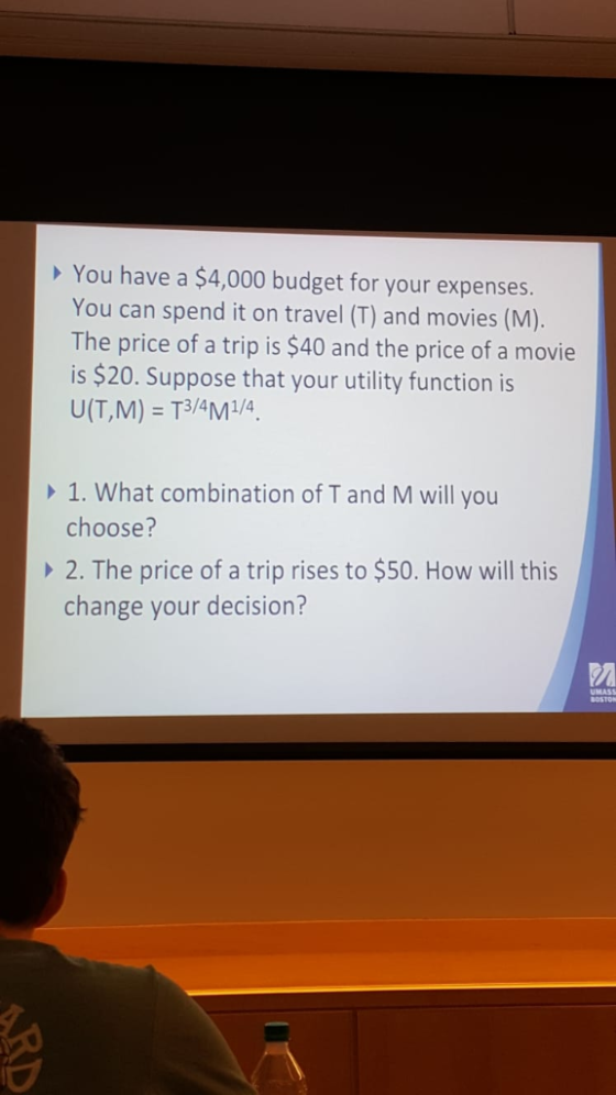 You have a $4,000 budget for your expenses You can spend it on travel (T) and movies (M). The price of a trip is $40 and the