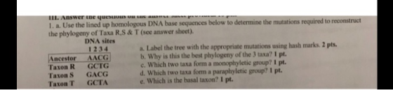 III. Answer the quest a 1. a. Use the lined up homologous DNA base sequences below to determine the mutations required to rec