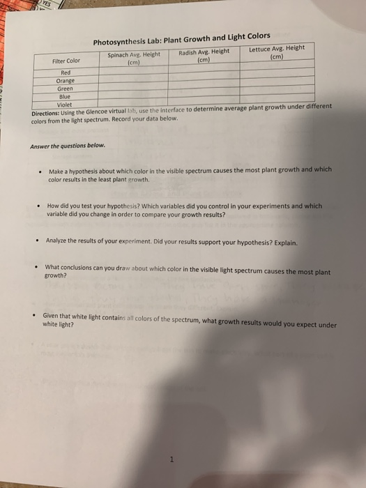 YES Photosynthesis Lab: Plant Growth and Light Colors Spinach Avg. Height Radish Avg. Height Lettuce Avg. Height Filter Color