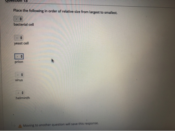13 Place the following in order of relative size from largest to smallest. bacterial cell yeast cell prion virus helminth A M