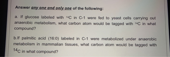 Answer any one and only one of the following: a. If glucose labeled with 14C in C-1 were fed to yeast cells carrying out anae