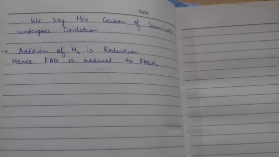 Date: . We undergoes say the Oxidation Carbono Succinati Adddion of Hence FAD ₂ is Redudion. is reduced to FADH.