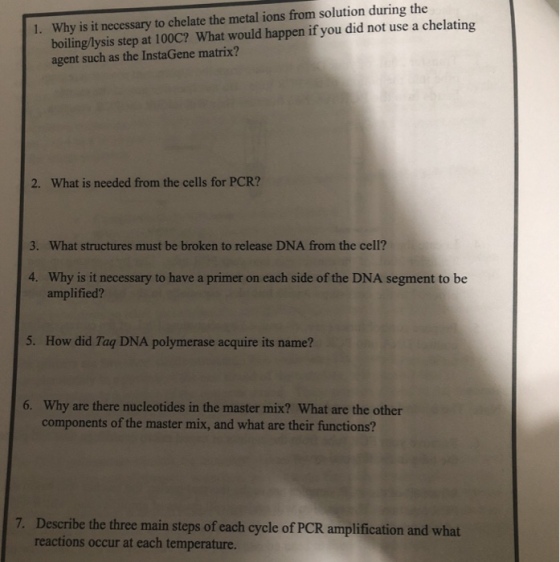Why is it necessary to chelate the metal ions from solution during the boiling/lysis step at 100C? What would happen if you did not use a chelating agent such as the InstaGene matrix? 1. 2. What is needed from the cells for PCR? 3. What structures must be broken to release DNA from the cell? Why is it necessary to have a primer on each side of the DNA segment to be amplified? 4. 5. How did Ta? DNA polymerase acquire its name? 6. Why are there nucleotides in the master mix? What are the other components of the master mix, and what are their functions? 7. Describe the three main steps of each cycle of PCR amplification and what reactions occur at each temperature.