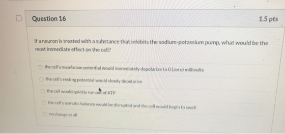 Question 16 1.5 pts If a neuron is treated with a substance that inhibits the sodium-potassium pump, what would be the most i