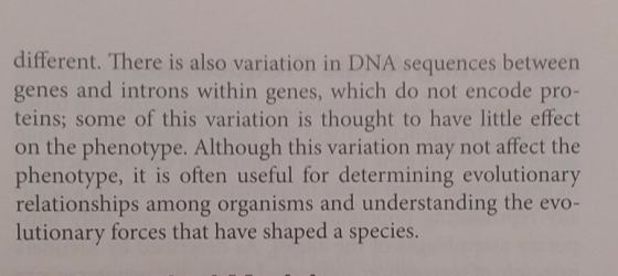 different. There is also variation in DNA sequences betweer genes and introns within genes, which do not encode pro- teins; some of this variation is thought to have little effect on the phenotype. Although this variation may not affect the phenotype, it is often useful for determining evolutionary relationships among organisms and understanding the evo- lutionary forces that have shaped a species.