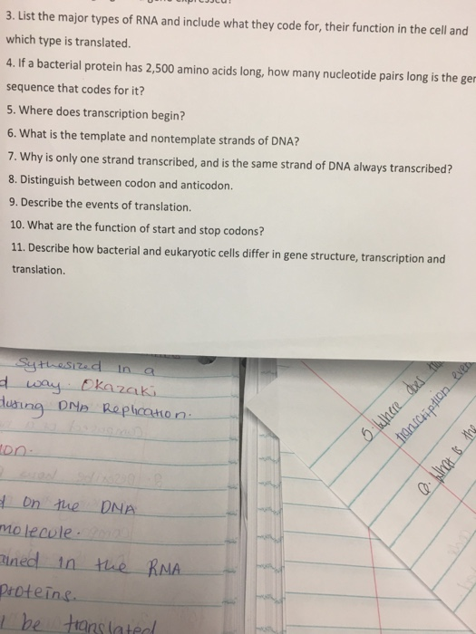 3. List the major types of RNA and include what they code for, their function in the cell and which type is translated. 4. If