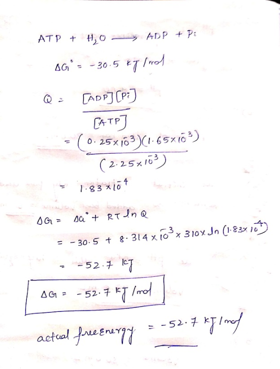 ATP + H₂O ADP + P : AG = -30.5 kg lord Q [App] [P:] (0.25x103) (1.65716) (2.25x103) y = 1.83x104 Rey deserves OG = sa + RT l