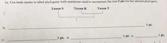 la. Use hash marks to label phylogeny with mutations used to reconstruct the tree 2 pts for the labeled phylogeny, Taxon S Ta