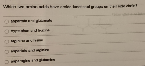 Which two amino acids have amide functional groups on their side chain? O aspartate and glutamate O tryptophan and leucine O