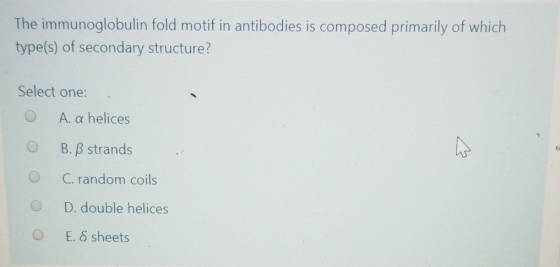 The immunoglobulin fold motif in antibodies is composed primarily of which type(s) of secondary structure? Select one: O A. a