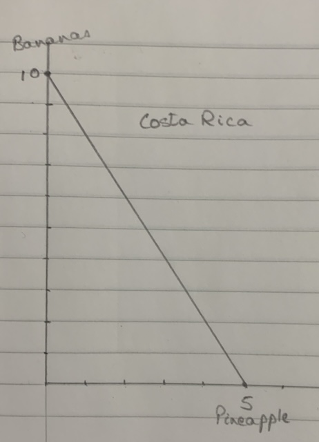 180 MANA Costa Rica Pineapple